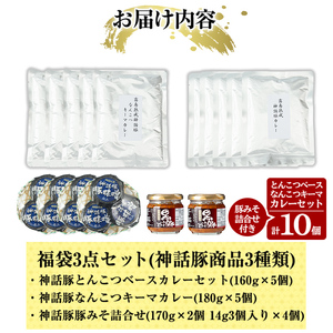 B7-001 鹿児島黒豚「霧島熟成神話豚」レトルトカレー福袋3点セット【富士食品】霧島市 レトルトカレー 常温保存 惣菜 おかず