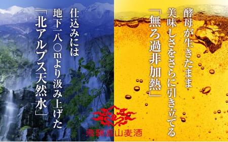 飛騨高山麦酒 飲み比べ20缶セット クラフトビール 地ビール ビール お酒 飛騨高山 プレミアム 家飲み おうち時間 ピルセナー ペールエール ヴァイツェン ダークエール スタウト 酒  セット 贈答用 詰め合わせ FS045