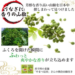 うなぎ蒲焼き&白焼きセット（蒲焼き：１６０ｇ×１・白焼き：１６０ｇ×１） _AT04