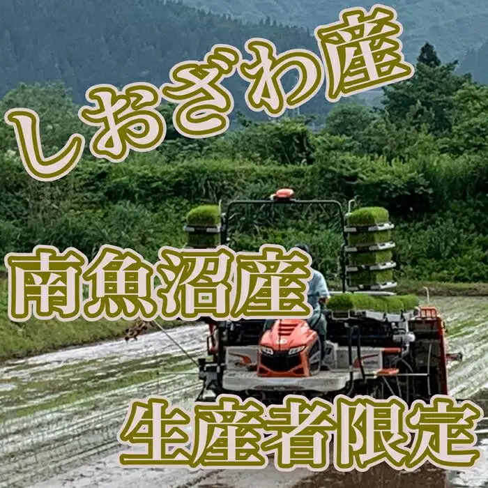 【令和7年産】【定期便／20kg×9ヶ月】生産者限定 契約栽培 南魚沼しおざわ産コシヒカリ【定期便 銘柄米 ブランド米 精米 こしひかり コシヒカリ 魚沼産 新潟米 産地直送 お米 米 こめ コメ ご飯 御飯 ごはん】