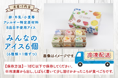 みんなのアイス6個セット（ 卵・牛乳・小麦等アレルギー特定原材料8品目不使用のアイス） 