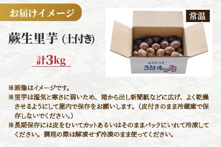 【先行予約】日本百名山 荒島岳の麓で育てた 蕨生（わらびょう）里芋 3kg【11月より順次発送】