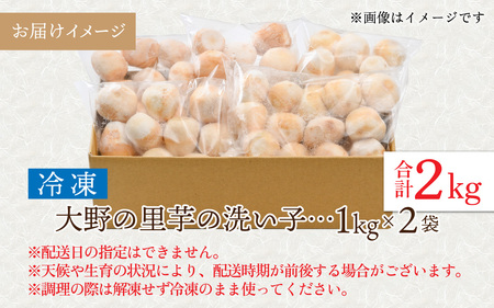 【先行予約】簡単手間なし！冷凍のまま調理！大野の里芋の洗い子 1kg × 2袋 計2kg (冷凍) 【11月より順次発送】