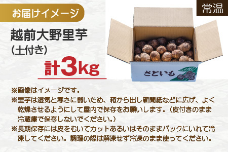 【先行予約】越前大野里芋 3kg ねっとりうまい煮崩れしない！【11月より順次発送】