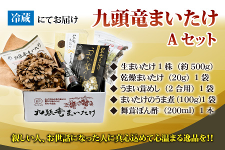 九頭竜まいたけとうま煮・ごはんの素など加工品セット(Aセット) [A-038002]