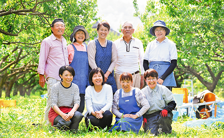 うめっぽの完熟梅ゼリー9本セット　福井県おおい町産梅使用 発酵食品 梅肉 詰め合わせ 