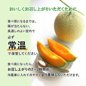 【令和8年産】北海道 上富良野 町産 「 ふらの メロン 」 大玉 秀品  2玉 約 2kg 以上 赤肉 メロン 産地直送 富良野 フルーツ 果物類 フルーツ メロン赤肉 