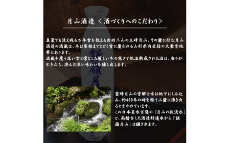 銀嶺月山 純米大吟醸 飲み比べ セット 720ml×2本 火入れ 生酒 【2026年4月頃から7月末頃発送予定】飲み比べ 純米大吟醸 日本酒 酒　018-E-GS014