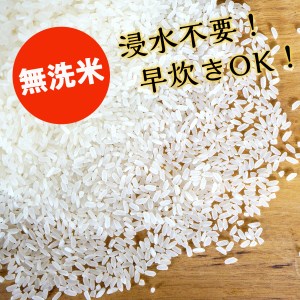 Y186 カレー専用米“プリンセスかおり”5kg（無洗米）