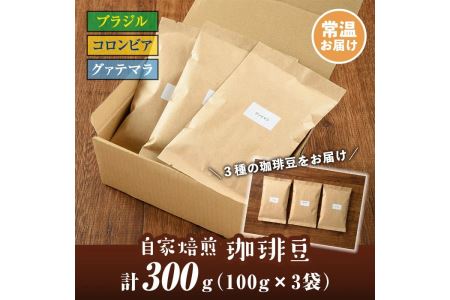 isa198 自家焙煎珈琲豆3袋(計300g・100g×3種) コーヒー coffee コーヒー豆 自家焙煎 ハンドピック 飲み比べ 飲料【工房ゆう】