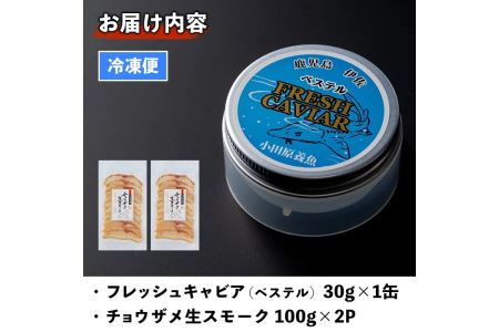 B7-02 純国産フレッシュキャビア(30g・ベステル)＆チョウザメ生スモーク(200g)セット伊佐市 特産品 国産 魚卵 白身 おつまみ 世界三大珍味 グルメ 贅沢 生ハム風 冷燻 加工品 冷凍 冷凍便【小田原養魚】