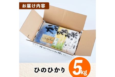 Z9-01 かめさんのお米(5kg・ひのひかり) 伊佐米 米 コメ 白米 精米 ごはん ご飯 ヒノヒカリ 5kg 【Farm-K】