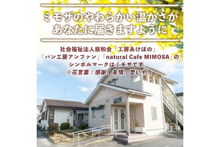 isa170 プレーンベーグル(16個) 天然酵母 ふるさと納税 伊佐市 特産品 パン 国産 白神こだま酵母 ヒマラヤ岩塩 焼きたて 急速冷凍 ベーグル 牛乳・卵・バター不使用 ベーグルサンド 就労支援 【工房あけぼの】