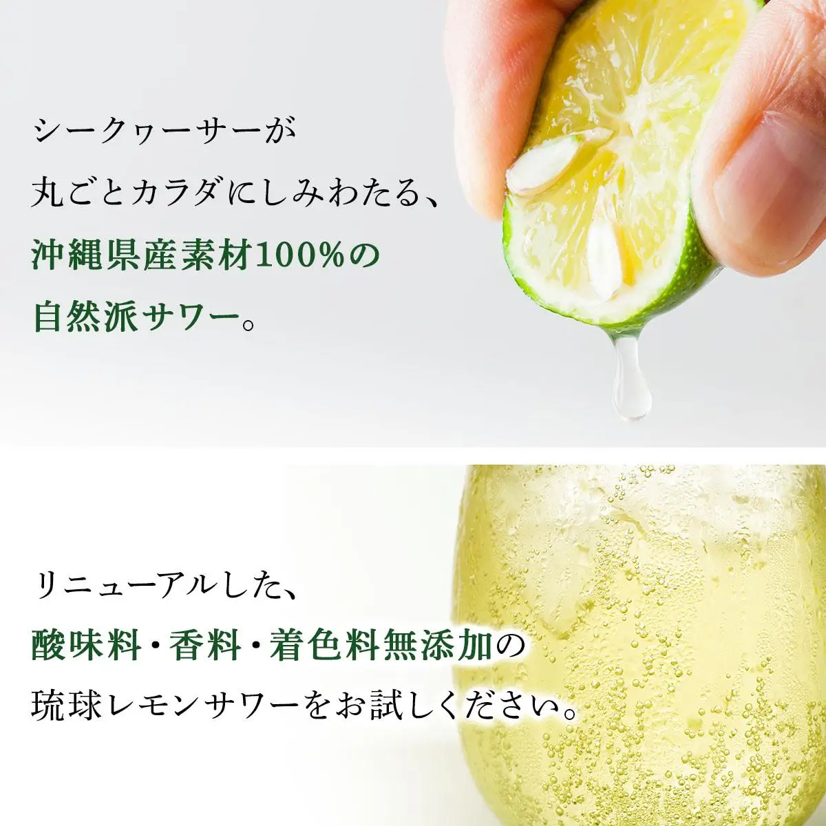 ★琉球レモンサワー 350ml 24缶セット   