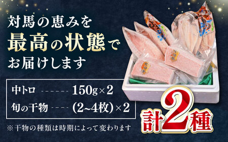 対馬産 本マグロ 中トロ 300g & 旬の干物 2種  [WAH001] 海鮮 魚介 まぐろ トロ 刺身 マグロ 干物 