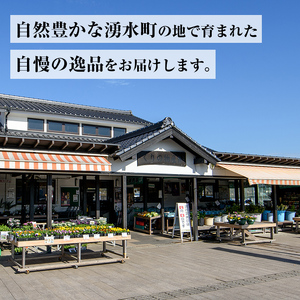 米 令和7年産 鹿児島県産 ひのひかり 10kg 白米 【くりの物産館】_C09