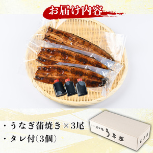 国産！うなぎ蒲焼き(3尾・タレ付き) 国産 九州産 鹿児島県 宮崎県 鰻 ウナギ unagi うな重 うな丼 ひつまぶし うなじゅう 蒲焼 かばやき 無頭 魚 魚介類 土用 丑の日 タレ タレ付 おかず 惣菜 冷蔵 特産品 お土産 ギフト プレゼント ご贈答 真空パック 湯煎 レンジ 簡単調理 【尾方屋】_A01