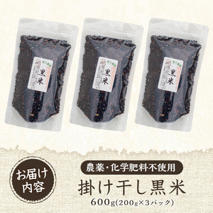 《栽培期間中農薬化学肥料不使用》掛け干し黒米(計600g・200g×3パック) 国産 九州産 鹿児島産 湧水町産 黒米 お米 米 おこめ 600g 化学肥料不使用 農薬不使用 有機 有機農業 有機肥料【雲月農園】_y172