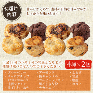 マクロビオティック焼き菓子詰め合わせスコーン計8個（4種類×2個） 乳製品不使用 玉子不使用 卵不使用 白砂糖不使用 詰め合わせ ブルーベリー 玄米 甘酒 シナモン アーモンド おかし お菓子 おやつ 朝食 スイーツ バレンタイン ホワイトデー 冷凍【雲月農園】_y178