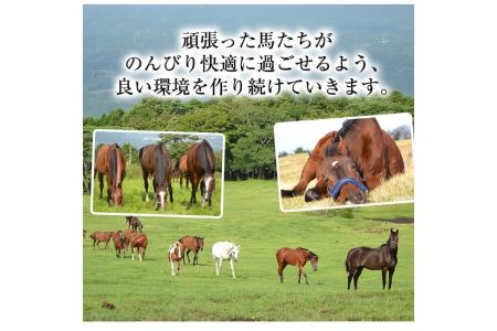 預託チケット！馬匹一頭の通常預託料1ヶ月分に相当するチケット(1枚) 馬 競走馬 競馬 乗馬 乗用馬 預託【NPO法人ホーストラスト】_y240