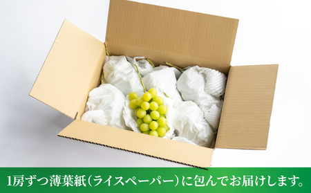 【先行受付2026年発送】東御市産シャインマスカット3kg（5～6房）【秋お届け】 