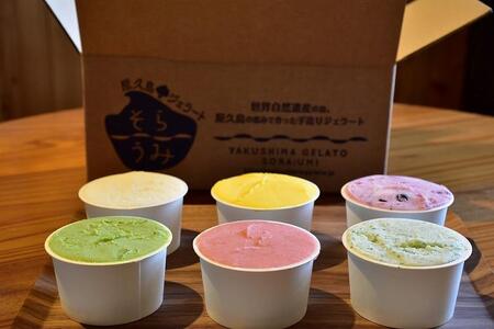 手作り ジェラート 6カップ 詰め合わせ セット＜屋久島産の新鮮食材を使用＞