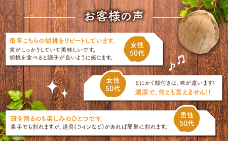 殻つきくるみ約1.4kg（2026年収穫分）｜JA信州うえだ東部地区営農課