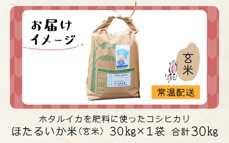 【訳あり】ほたるいか米（玄米３０kg）【通年発送】