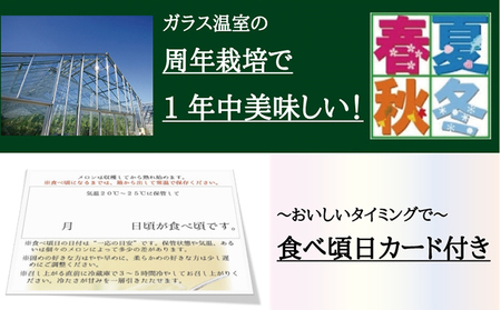 クラウンメロン（白）小玉×2玉【12ヶ月定期便】【配送不可：離島】 果物類 メロン青肉 