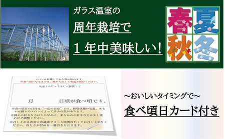 クラウンメロン　名人×1玉　桐箱【3ヶ月定期便】【配送不可：離島】 果物類 メロン青肉 