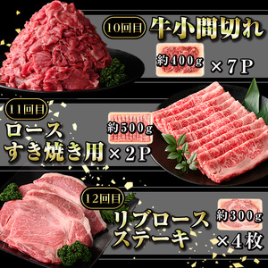 【G01001】＜定期便・全12回＞鹿児島県産黒毛和牛おまかせ定期便 鹿児島 牛肉 黒毛和牛 シャトーブリアン サーロインステーキ リブロース カルビ 焼肉 すき焼き 定期便【新村畜産】