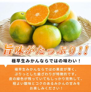 G7097_紀州和歌山有田産 ゆら早生みかん 5kg【ミカン 蜜柑 柑橘 温州みかん わせみかん】