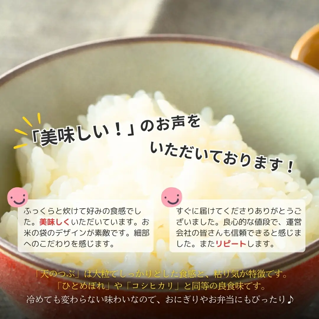 パックご飯 ふっくら 天のつぶ 24個 | パックご飯 紅梅夢ファーム