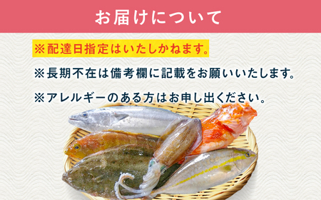 贅沢鮮魚セット3kg（エラ/内臓処理済） 五島市/五島FF[PBJ006] 冷蔵 鮮魚 魚介 刺身