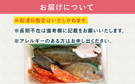 旬の地魚セット2kg（エラ/内臓処理済） 五島市/五島FF[PBJ010] 