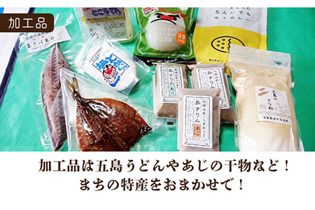 五島よかとこ便 特選鮮魚入り 野菜 加工品 おまかせ お楽しみ セット 五島市 / GOTO challenged 椿 [PDU002]