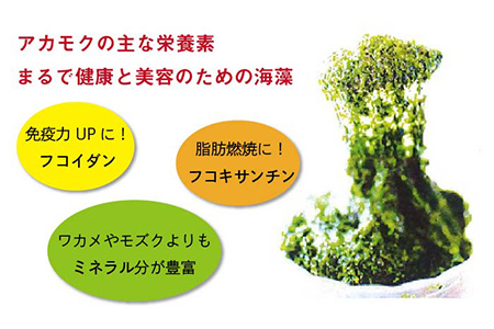 【数量限定】50セット限り あおさ アカモク 佃煮 100g×5本 五島市/心誠 [PCG006]  つくだに つくだ煮 おかず ご飯のお供 セット