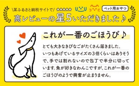 【ペットフード】きびなごスティック8袋（生干し4袋/蒸干し4袋） 五島市/浜口水産[PAI011] 犬 おやつ 国産 きびなご キビナゴ 干物 魚 煮干し にぼし 健康 カルシウム いぬ詰合せ ドックフード ペットフード