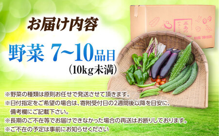 旬の野菜セット（7-10品目10kg未満）五島市/やぁしゃ便 [PBG003] 