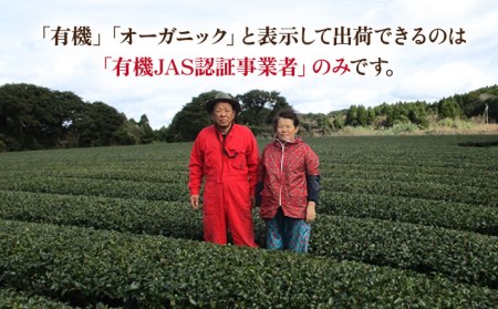 【安心・安全！】 有機深蒸茶 封筒型 50g【グリーンティ五島】[PAV015]