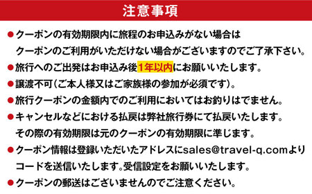 五島市への旅で使える トラベルQ 旅行 クーポン 30,000円分 クーポン 帰省 五島市/アイラオリエンタルリンク(トラベルQ) [PEA004]