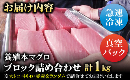 本マグロブロック詰合せ1kg（養殖） 五島市/奥浦海鮮直売所[PCL001