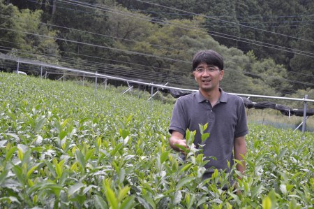 11-42 大はしり100ｇ袋2本詰合せ