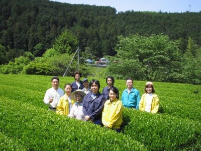22-4 新茶 静岡川根茶八十八夜摘み100ｇ×6本