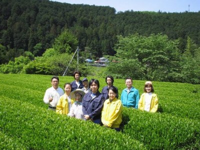 33-7 新茶 静岡川根茶八十八夜摘み100ｇ×9本