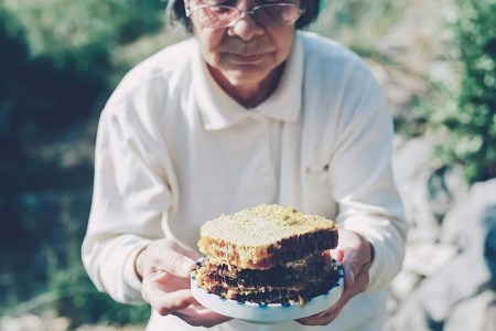 【保存料不使用】 天然！ 千花蜜（はちみつ） 約245g [日添 熊本県 五木村 51120299]