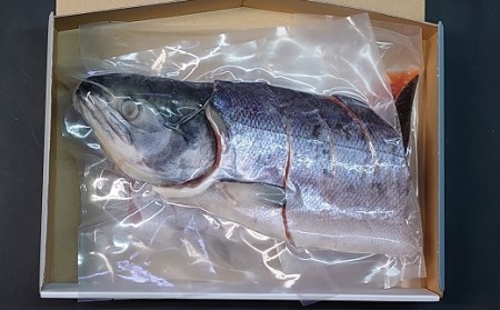 骨とり新巻鮭(甘塩)切身半身700g[01-936]