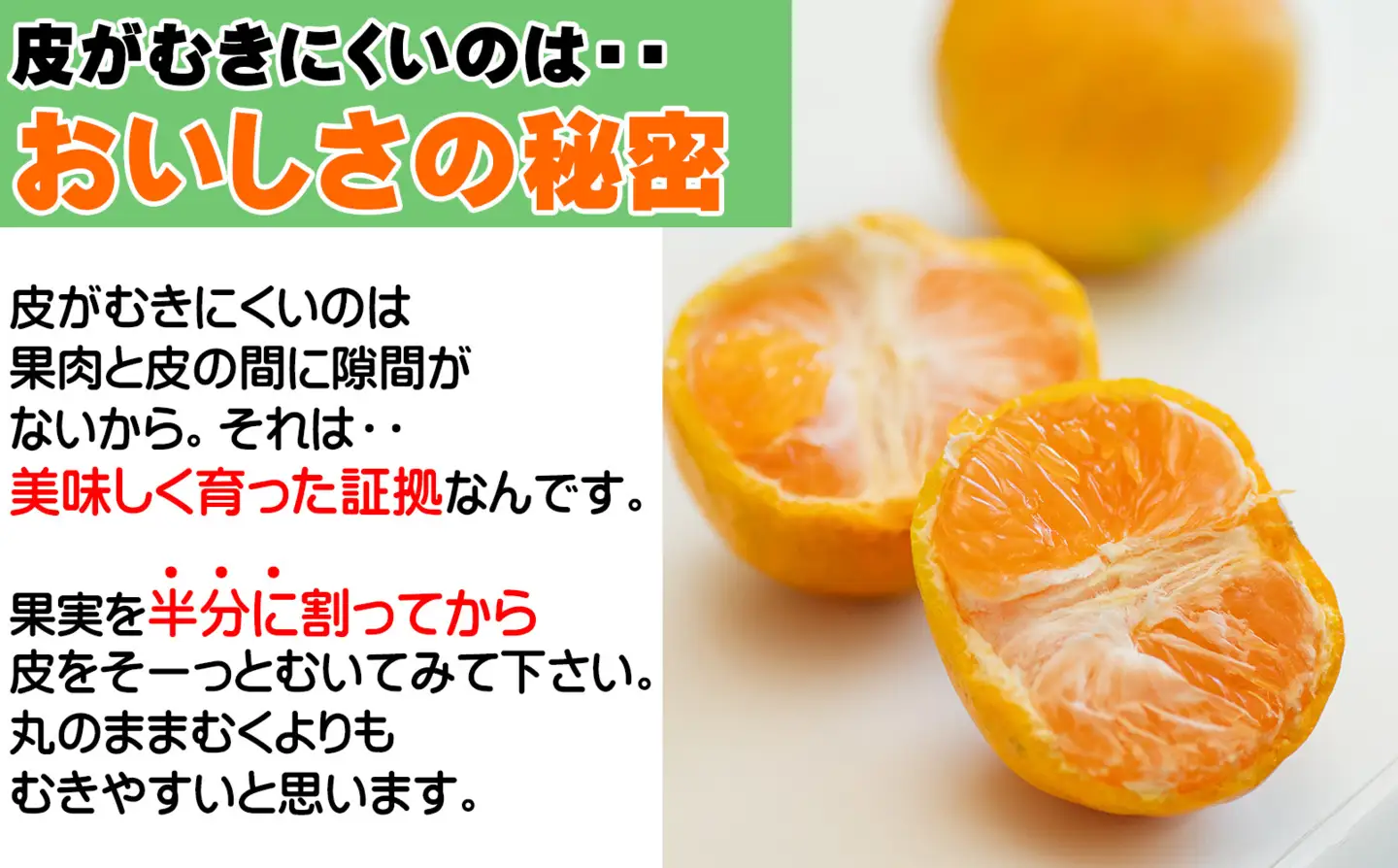 【極早生みかん】ゆら早生みかん 3kg 小玉サイズ（S・2S） 和歌山県海南市産 産地直送 YN26