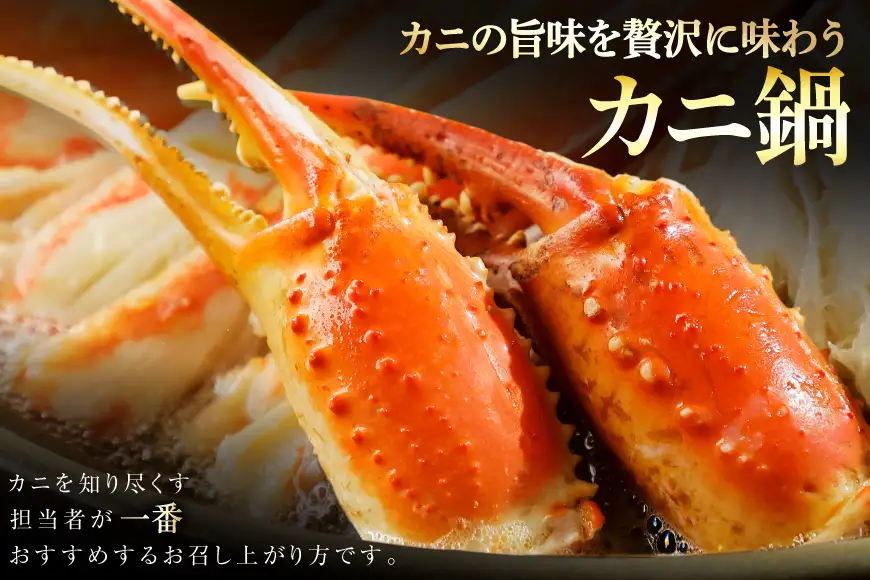 本ずわいがに 爪 約700g カニ 蟹 かに [宮城県 気仙沼市 20564321]