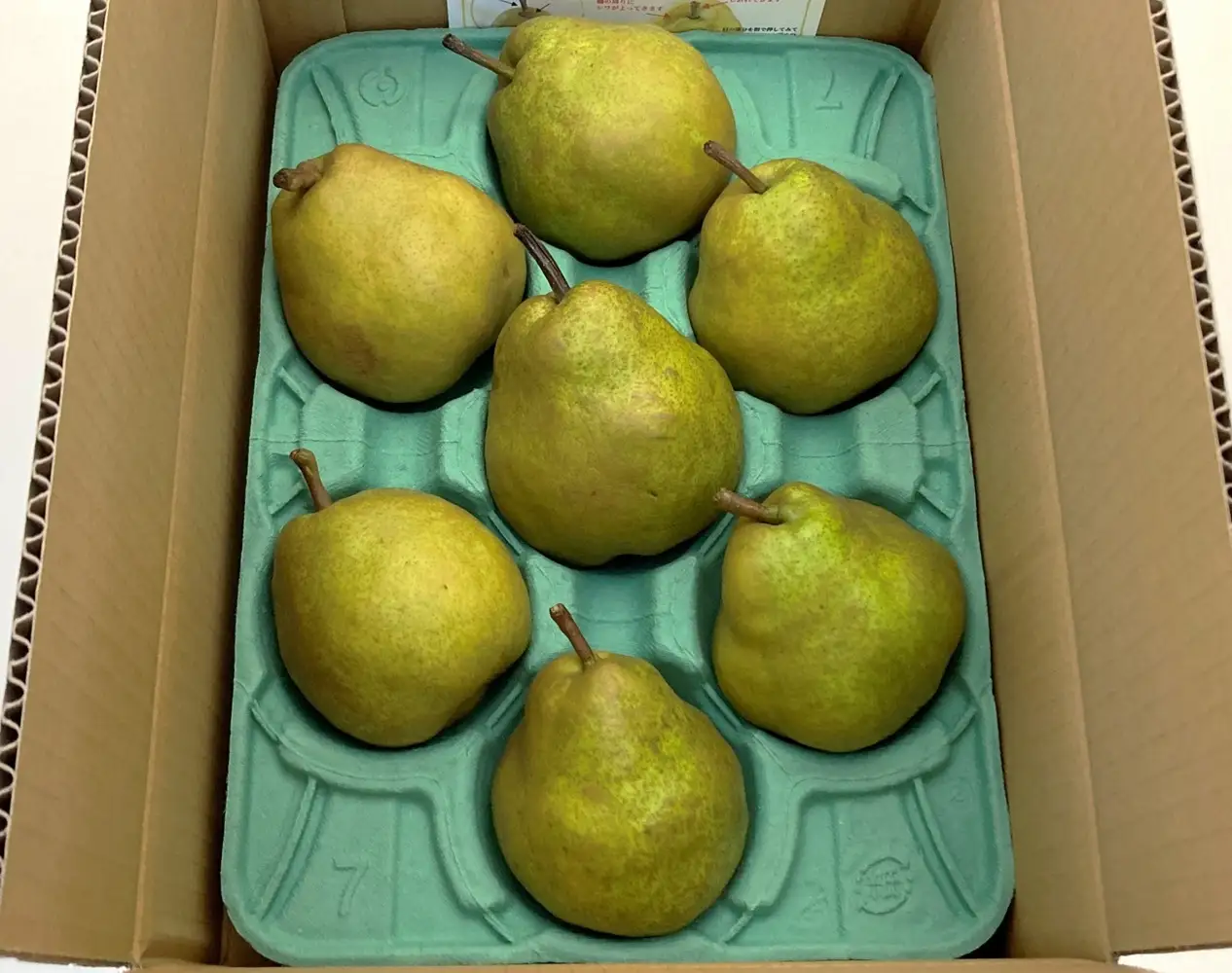 西洋梨（ラ・フランス）６ｋｇ　大玉　ご家庭用　0009-2613